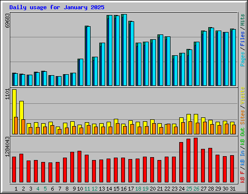 Daily usage for January 2025