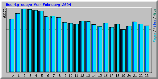 Hourly usage for February 2024