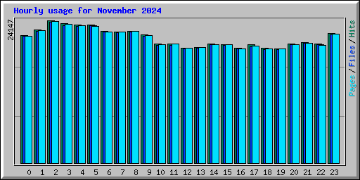 Hourly usage for November 2024