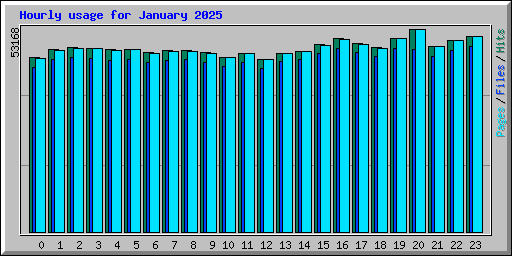 Hourly usage for January 2025